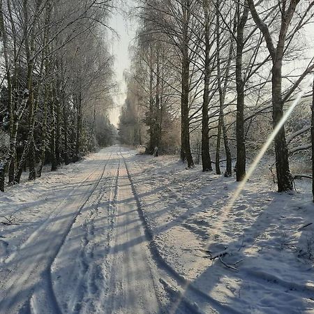 Domek całoroczny nad jeziorem Budzislawskim, Wielkopolska na wynajem Anastazewo Zewnętrze zdjęcie